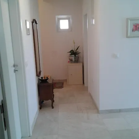 Apartment Ika Zadar Exterior foto