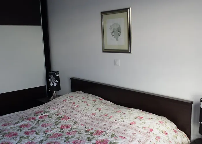 Apartment Ika